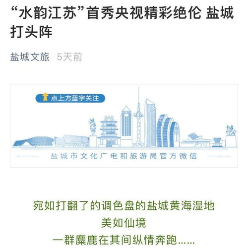 水韻江蘇宣傳片引爆全網，江蘇文旅品牌建設迎來新篇章